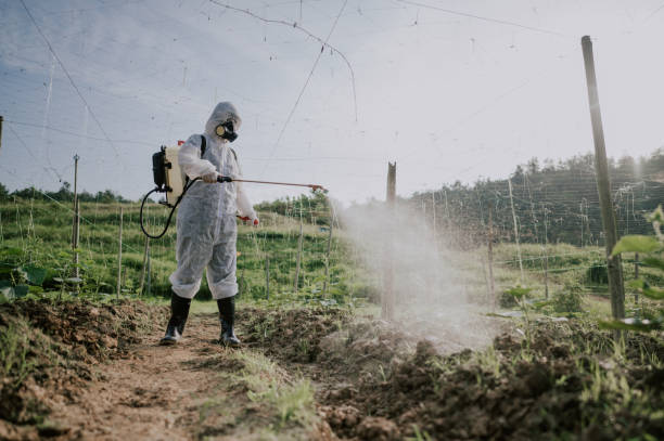 Best Pest Removal Services  in Concordia, MO