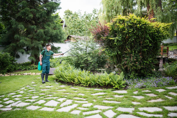 Best Affordable Pest Control Services  in Concordia, MO