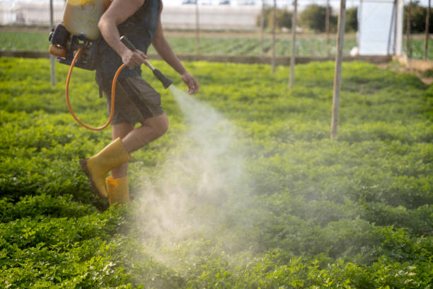 Best Pest Prevention Services  in Concordia, MO