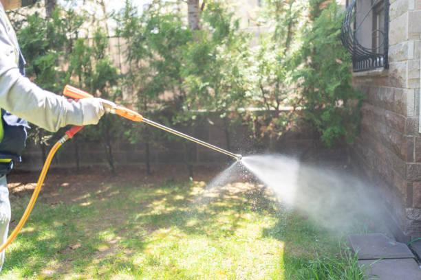 Reliable Concordia, MO Pest Control Solutions