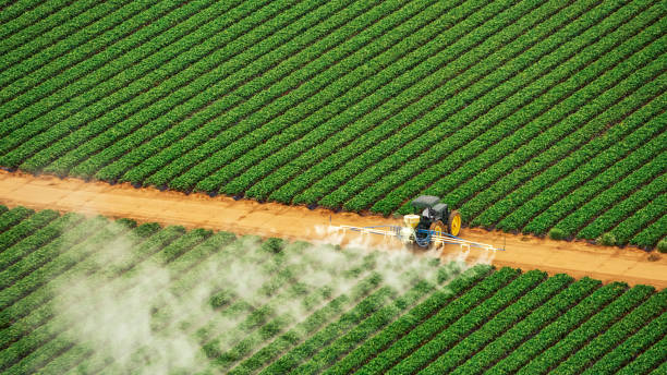 Best Mosquito Control Services  in Concordia, MO