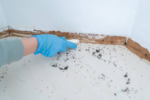 Best Best Pest Control Companies  in Concordia, MO