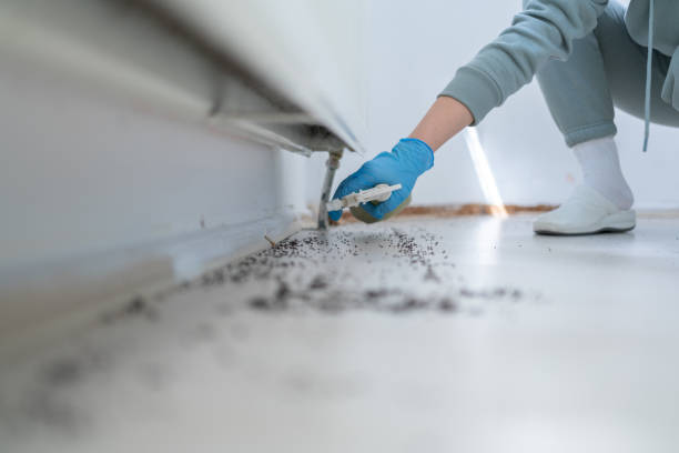 Best Affordable Pest Control Services  in Concordia, MO
